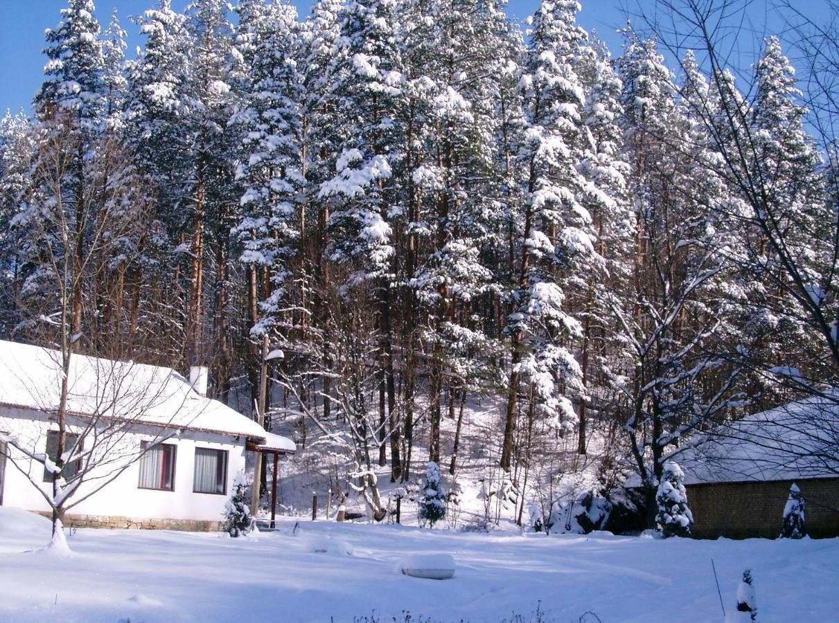 Holiday Home Tanevi تريفنا المظهر الخارجي الصورة